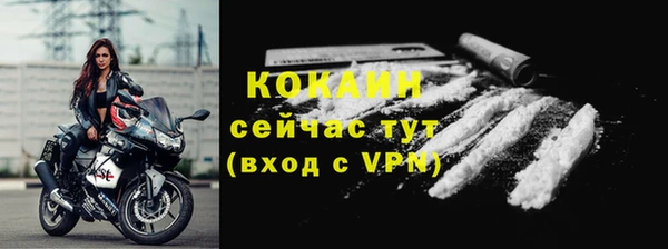 спиды Горняк