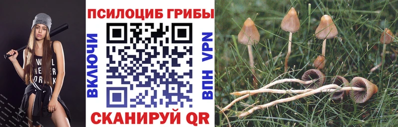 Галлюциногенные грибы мухоморы  omg рабочий сайт  Короча 